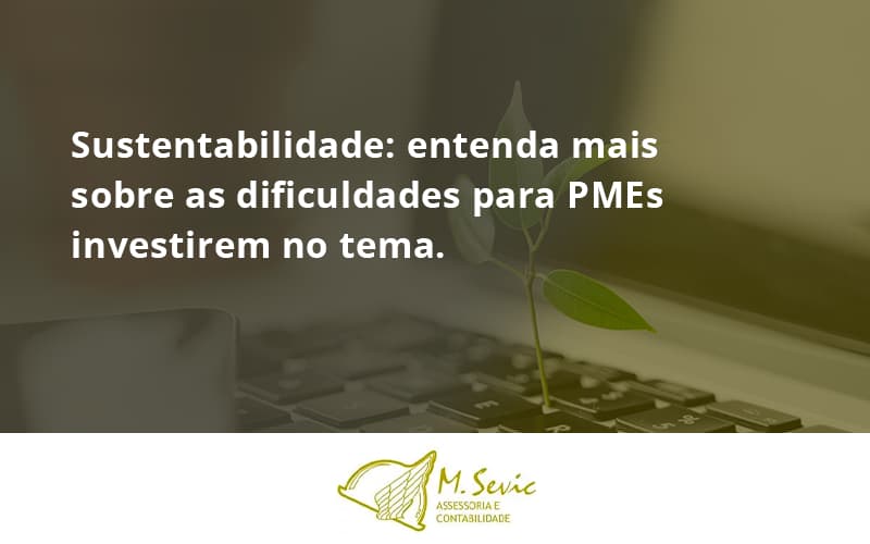 Sustentabilidade Msevic - Escritório de Contabilidade em São Paulo | M. Sevic Assessoria e Contabilidade