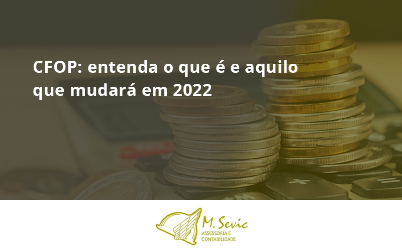 109 Msevic 17 12 - Escritório de Contabilidade em São Paulo | M. Sevic Assessoria e Contabilidade