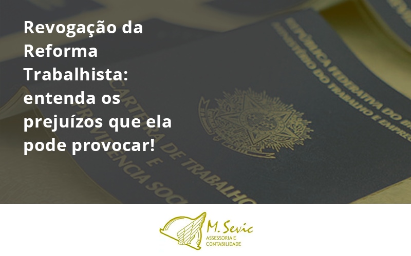 109 Msevic - Escritório de Contabilidade em São Paulo | M. Sevic Assessoria e Contabilidade